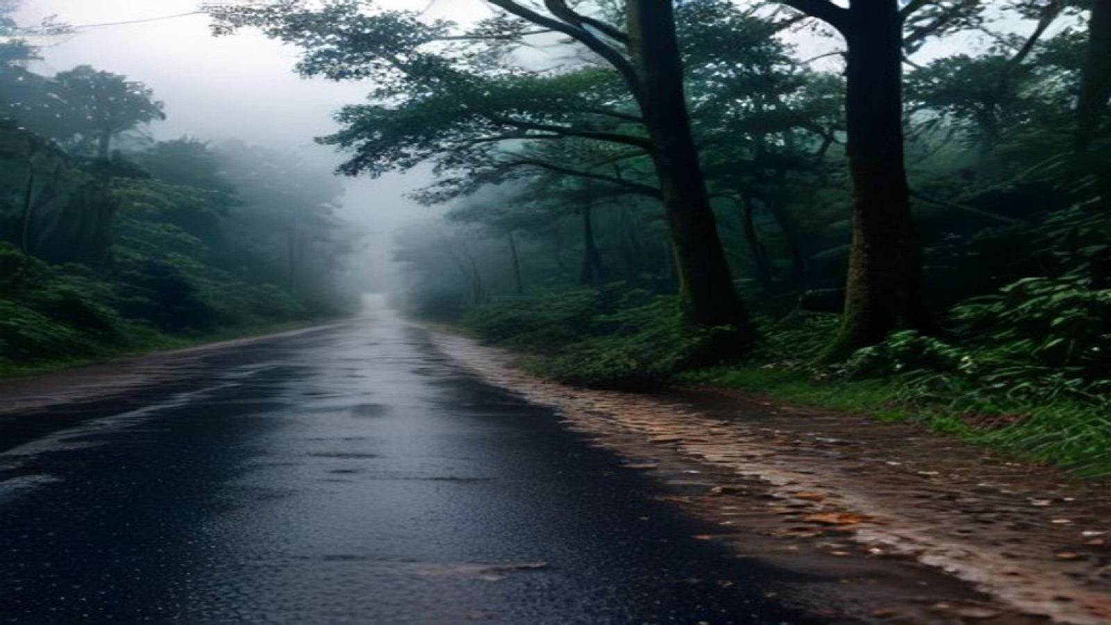 A fallen tree blocks a rural road after a storm.