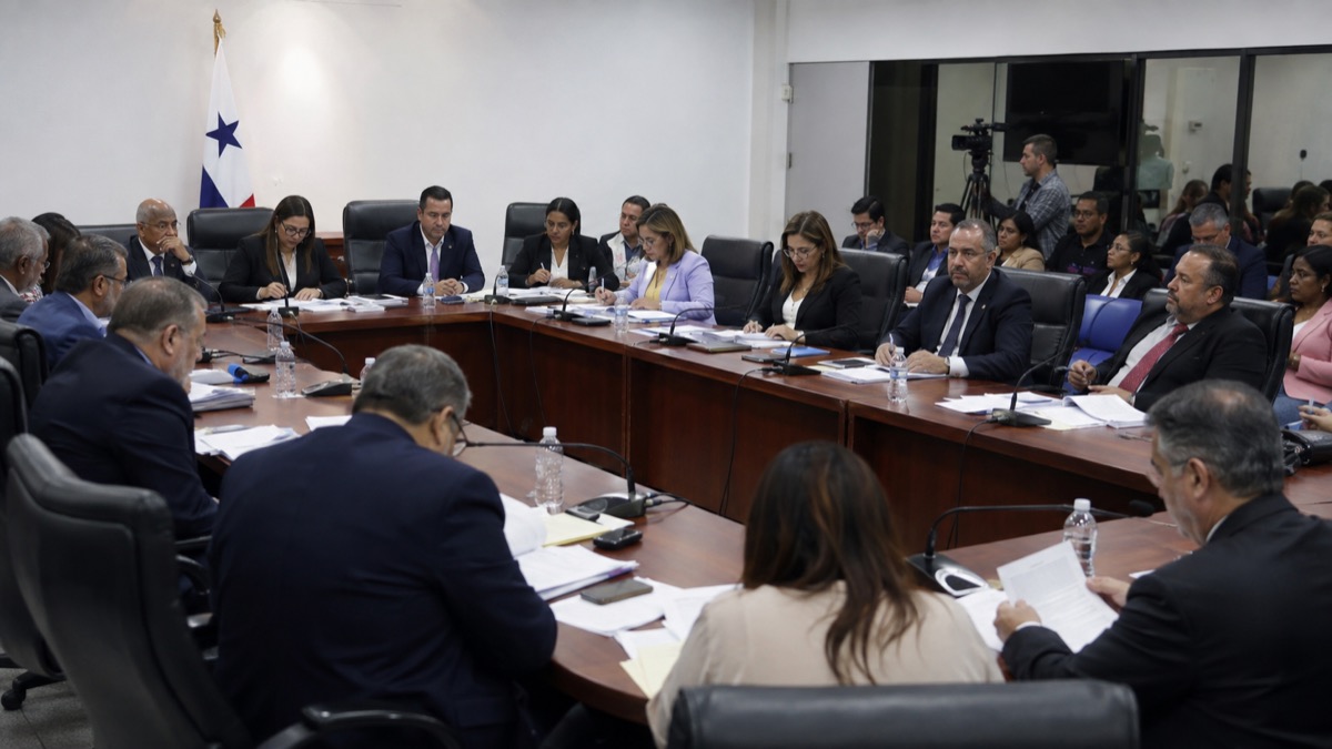 wide neutral view of a public budget committee hearing in Panama, generic legislators and officials in discussion, no recognizable individuals
