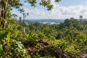 Illustrative AI-generated rainforest science landscape inspired by Barro Colorado Island.