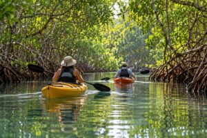 Illustrative AI-generated image of guided mangrove kayaking in Panama